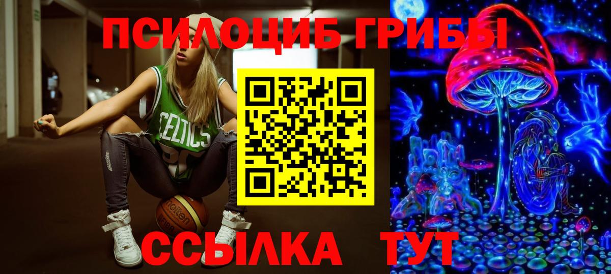 Псилоцибиновые грибы GOLDEN TEACHER Кувандык