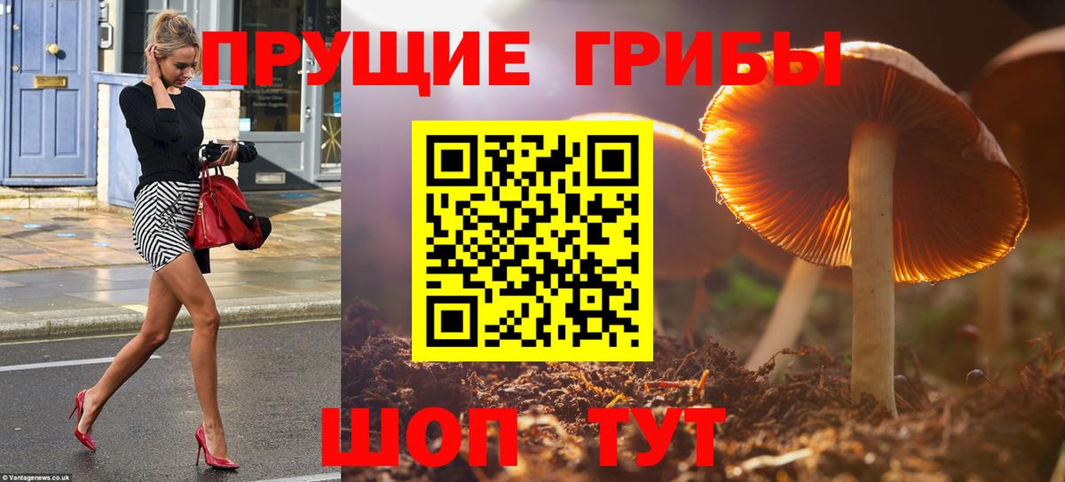 Псилоцибиновые грибы ЛСД  Вход с VPN  Псилоцибиновые грибы прущие грибы  Кувандык 
